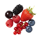 Berries